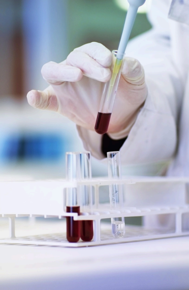Phosphine vs Methyl Bromide: Which Fumigant Does Your Shipment Need?
